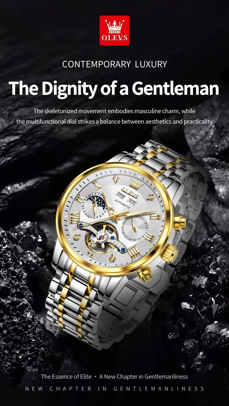 Olevs Men's Watch 6763
