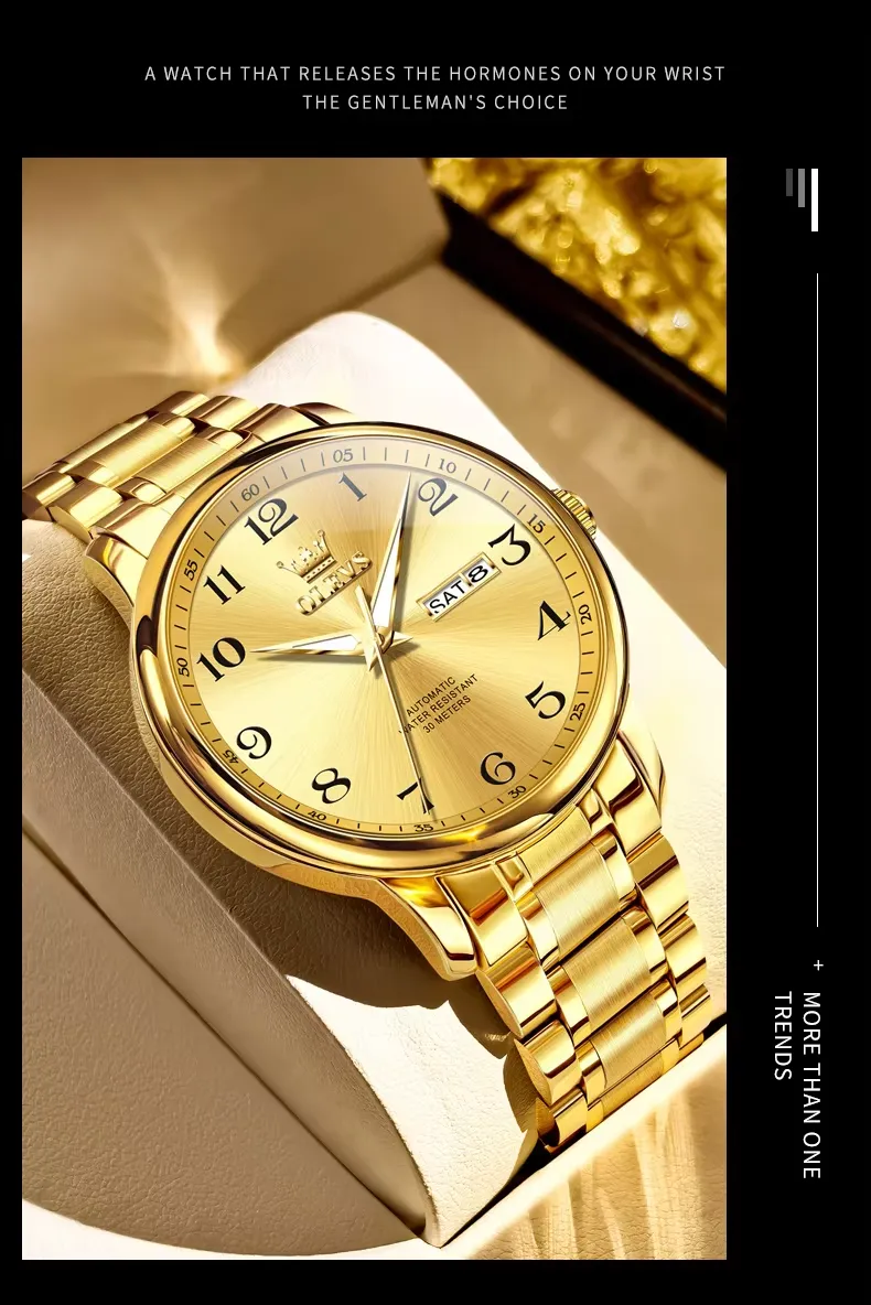 OLEVS Men's Watch 7072
