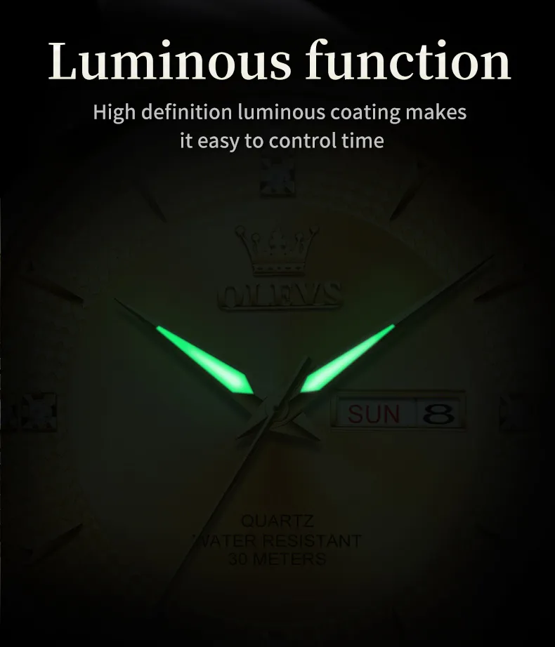 Olevs Men's Watch 9917