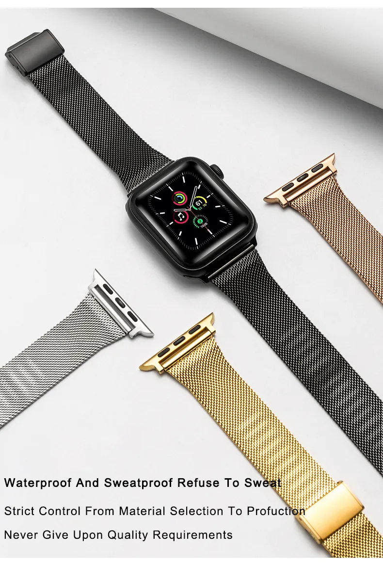 Milanese Loop Apple Watch Band