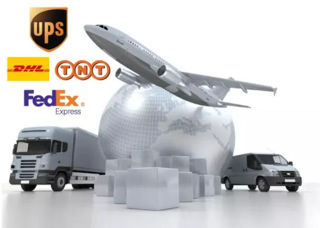 Pagani Design Men’s Watch 1671