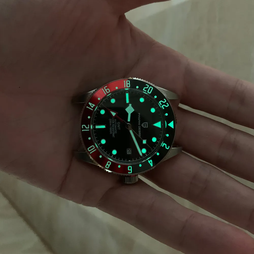 Pagani Design Men’s Watch 1706