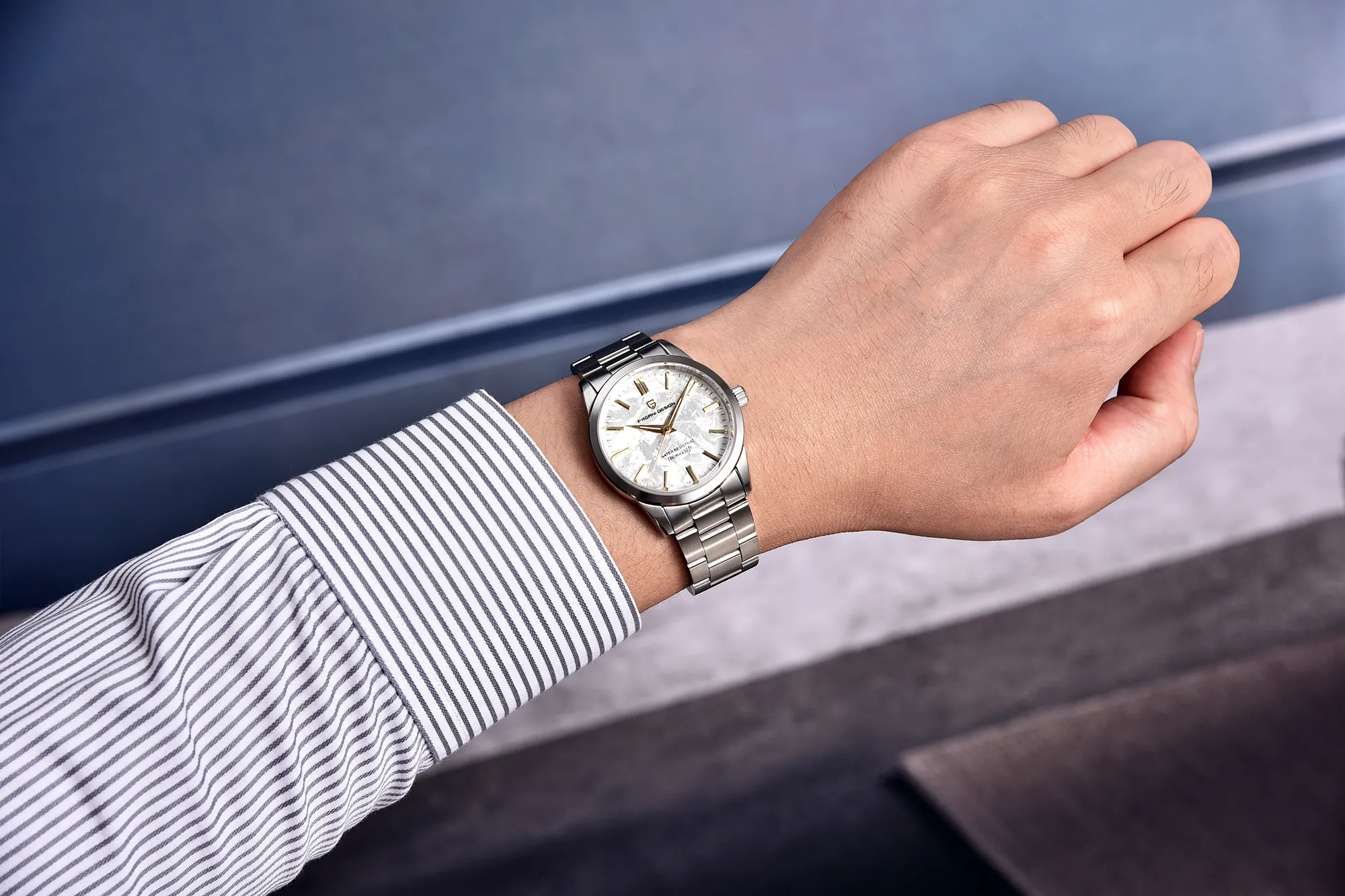 Pagani Design Men’s Watch 1734