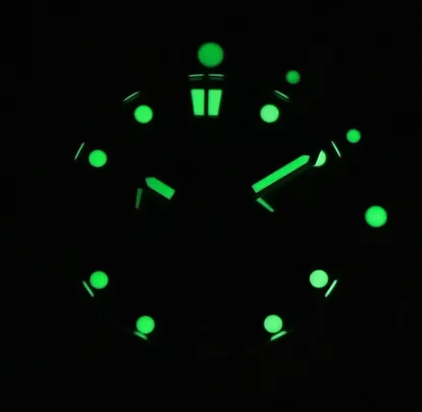 Pagani Design Men’s Watch 1767