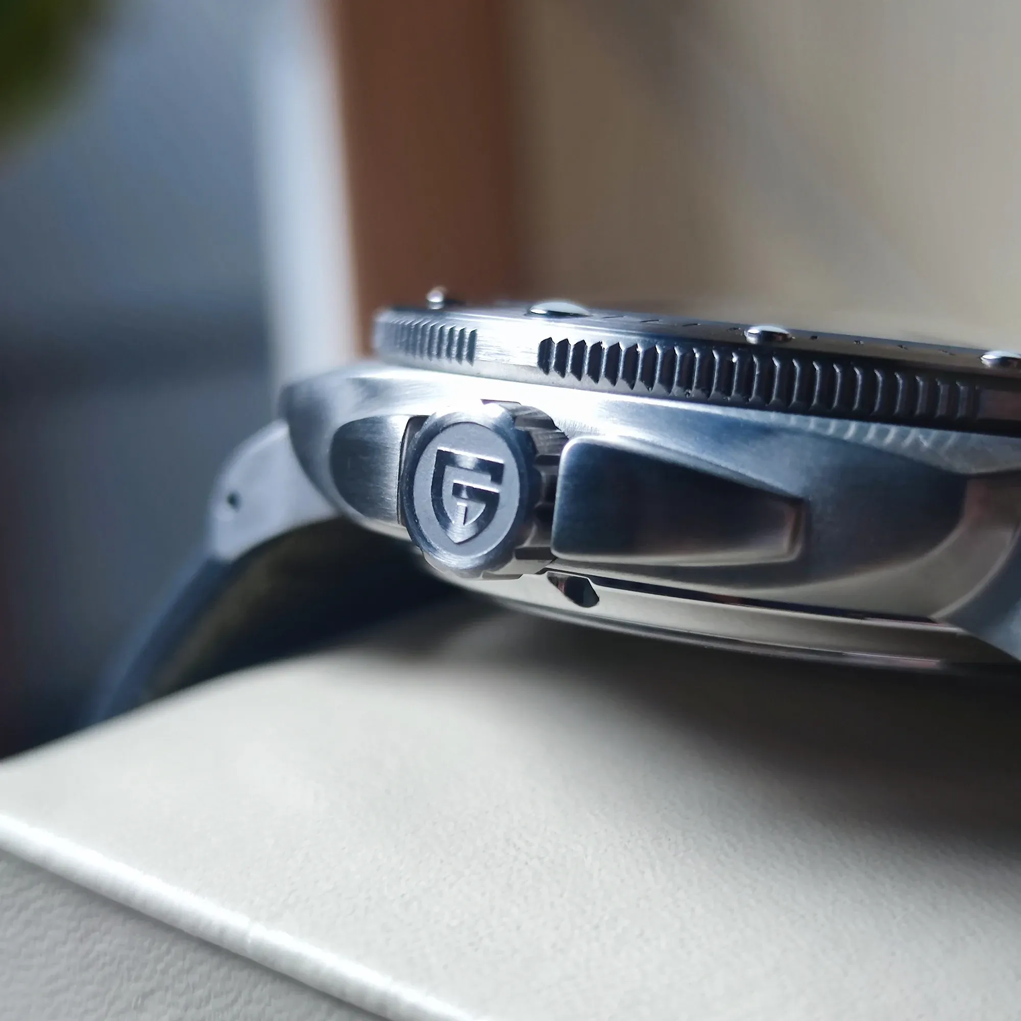 Pagani Design Men’s Watch 1767